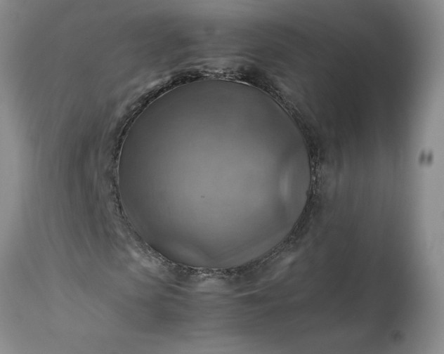 X0000113590913200910021713