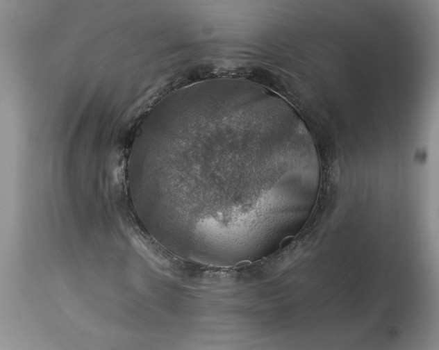 X0000113590914200910021713