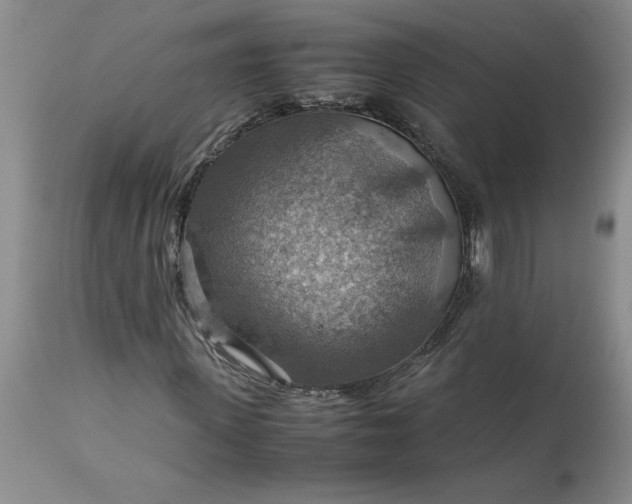 X0000113590915200910021713