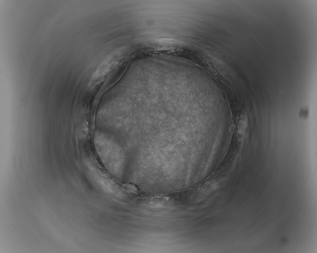 X0000113590916200910021713