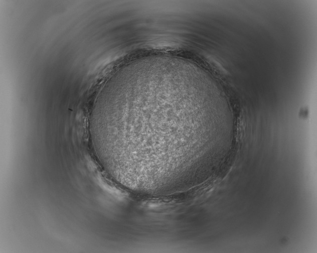 X0000113590917200910021713