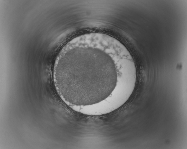 X0000113590918200910021713