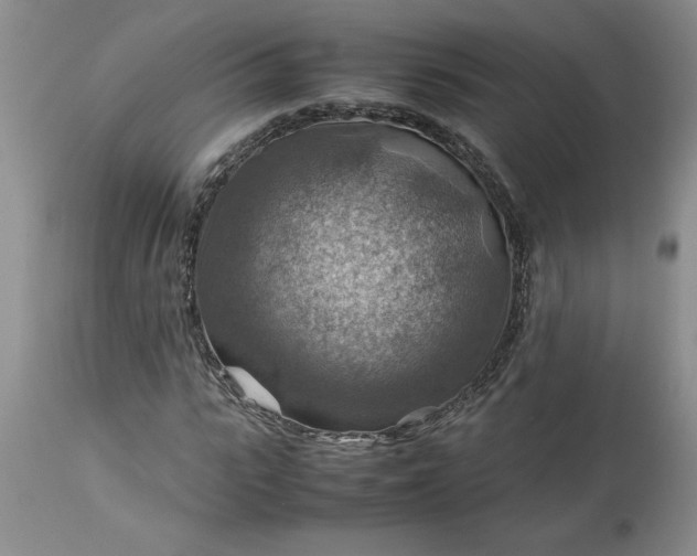 X0000113590919200910021713