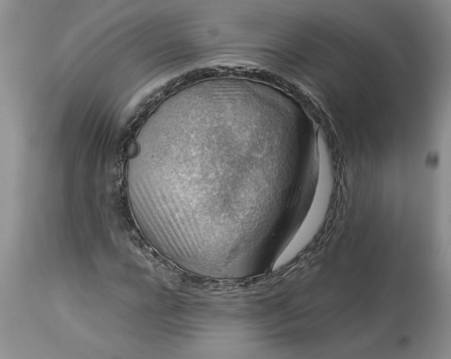 X0000113590920200910021713