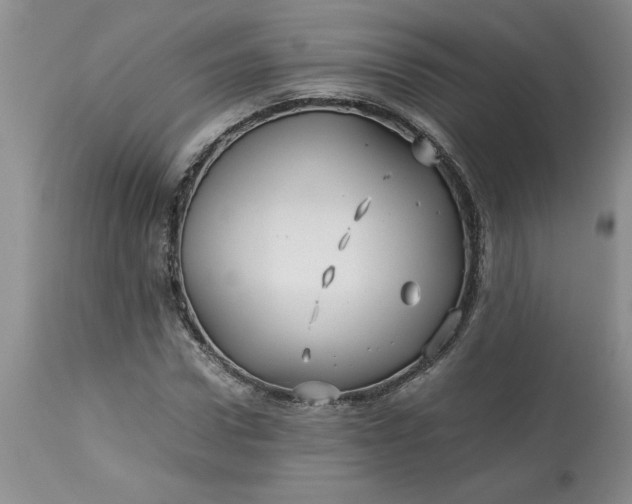 X0000113590922200910021713