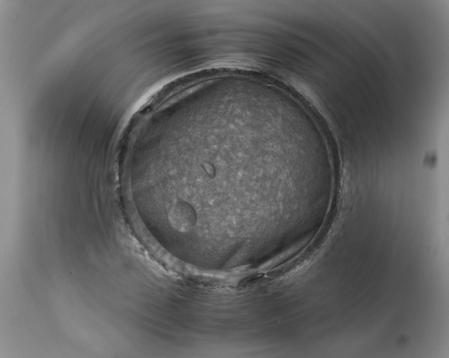 X0000113590923200910021713