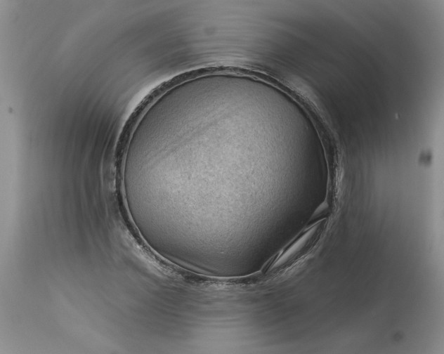 X0000113590924200910021713