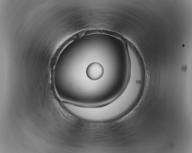 X0000113590925200910021713