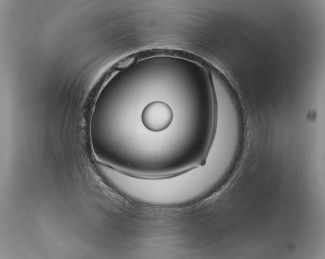 X0000113590926200910021713