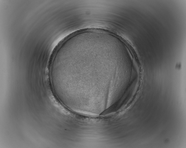 X0000113590928200910021713