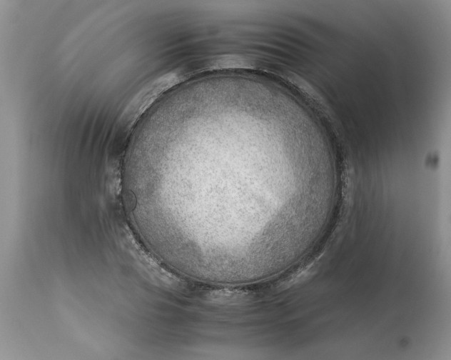 X0000113590929200910021713