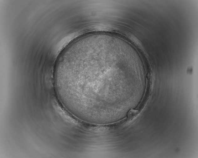 X0000113590930200910021713