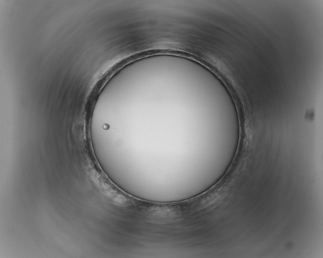 X0000113590931200910021713