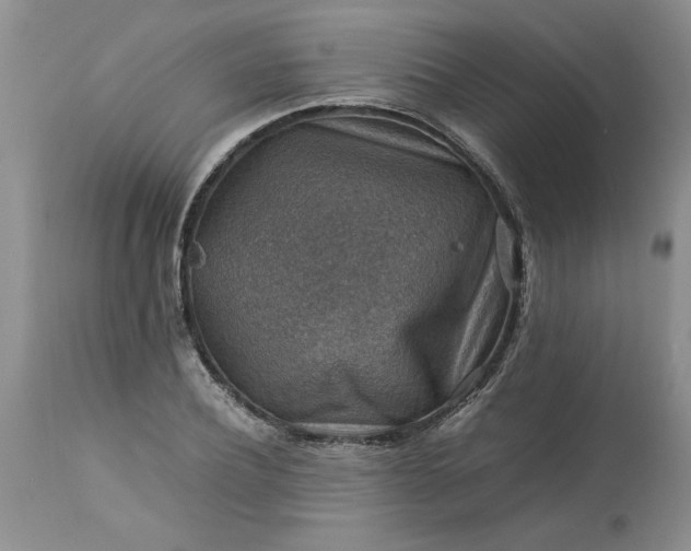 X0000113590932200910021713