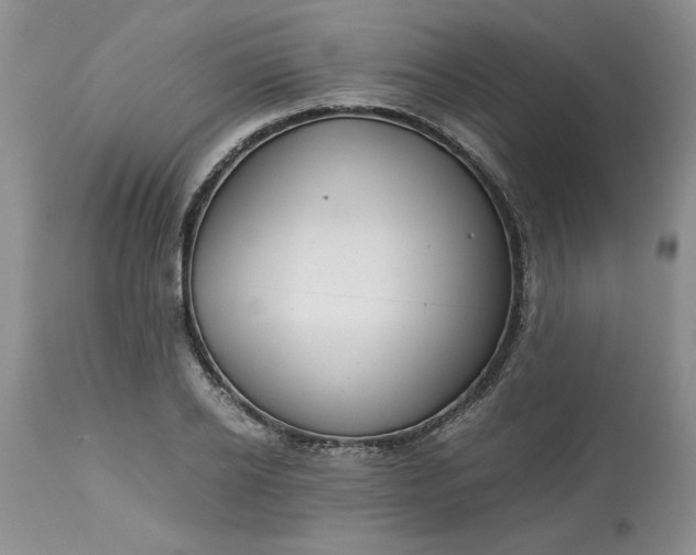 X0000113590934200910021713