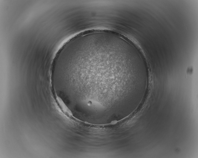 X0000113590935200910021713