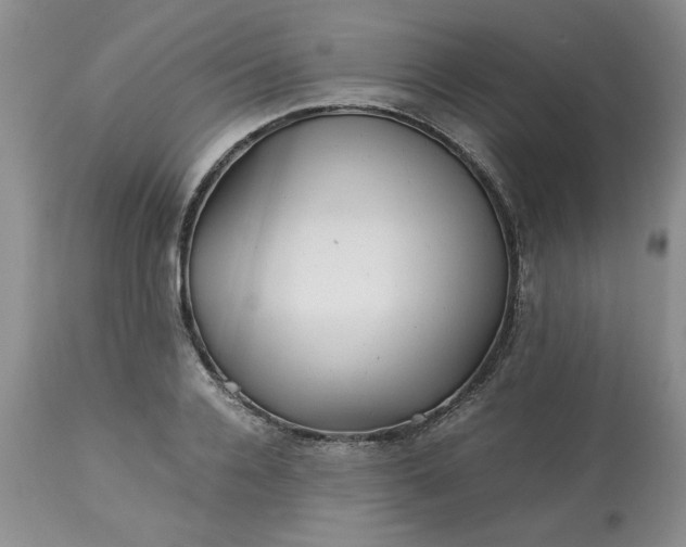 X0000113590936200910021713