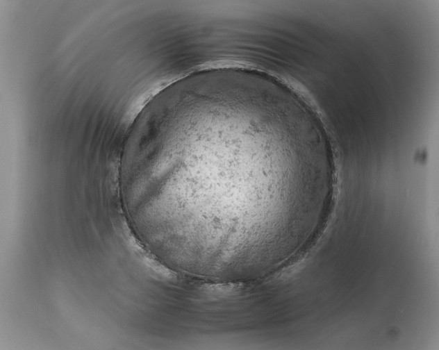 X0000113590937200910021713