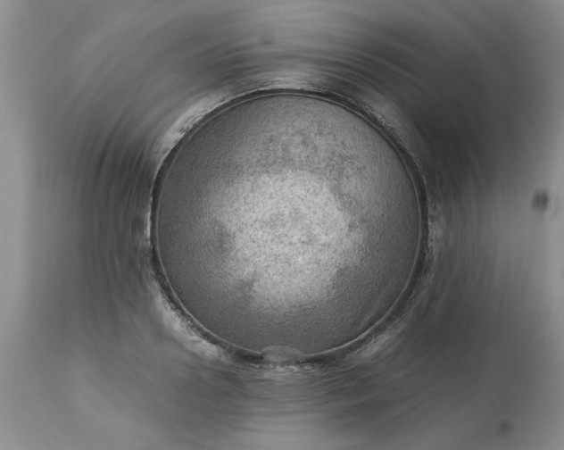 X0000113590938200910021713