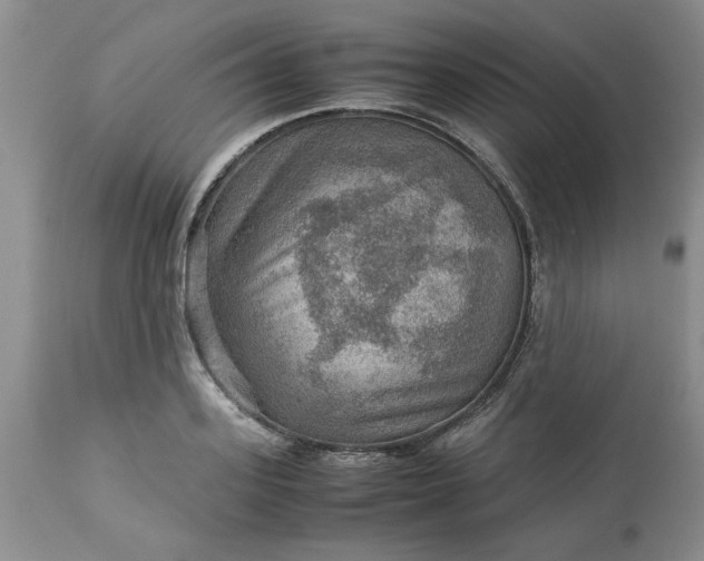 X0000113590939200910021713