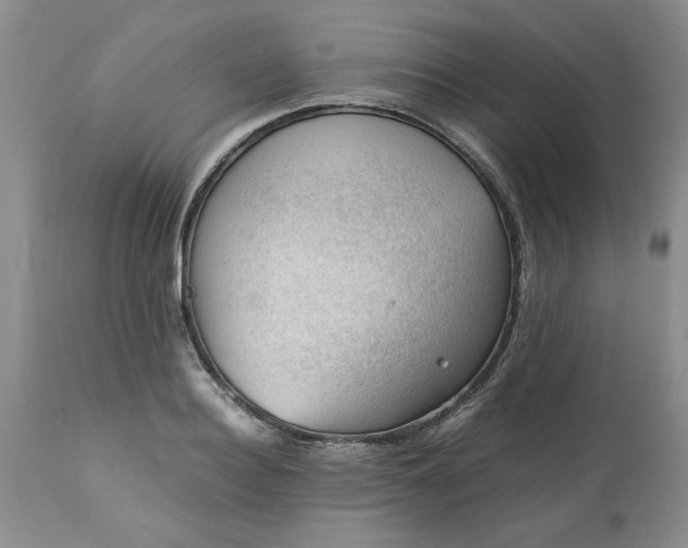 X0000113590940200910021714