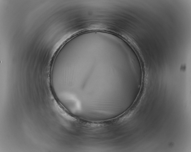 X0000113590941200910021714