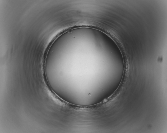 X0000113590942200910021714