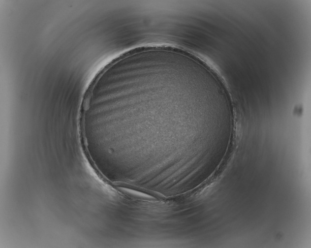 X0000113590943200910021714