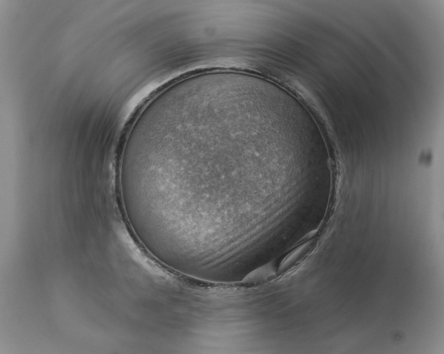 X0000113590944200910021714