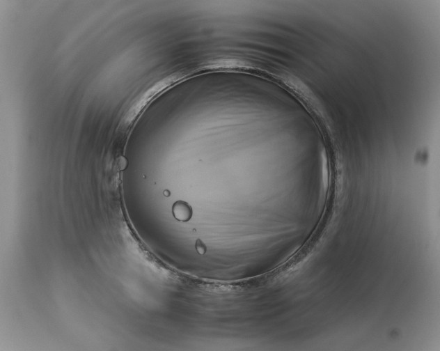 X0000113590945200910021714