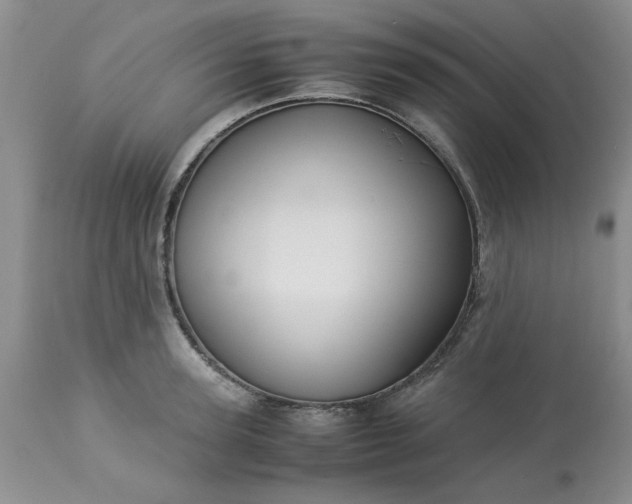 X0000113590947200910021714