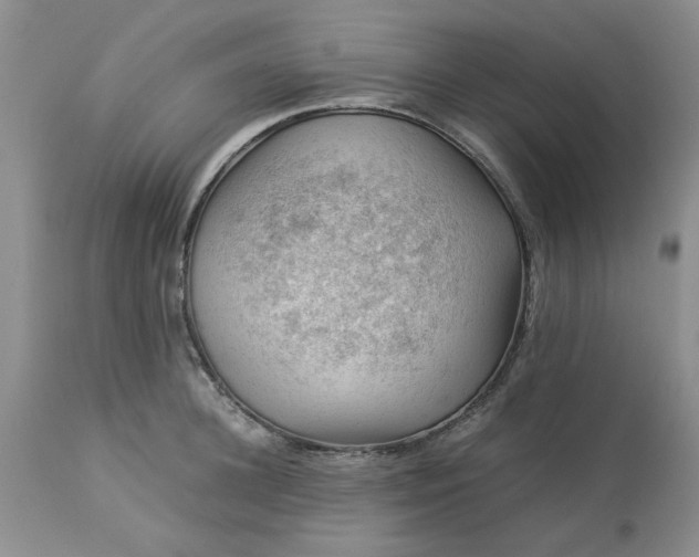 X0000113590948200910021714