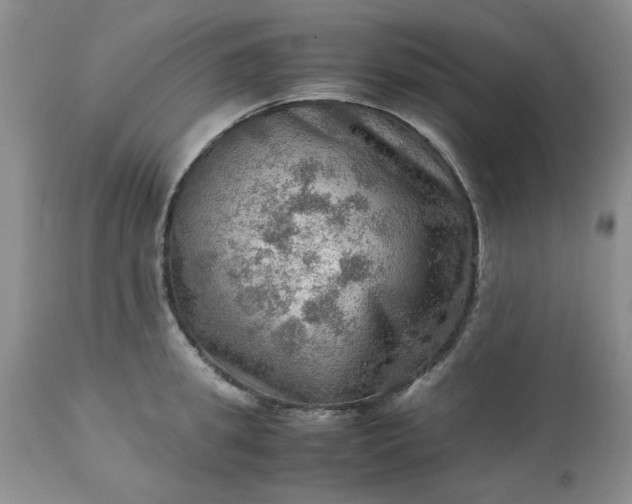 X0000113590949200910021714