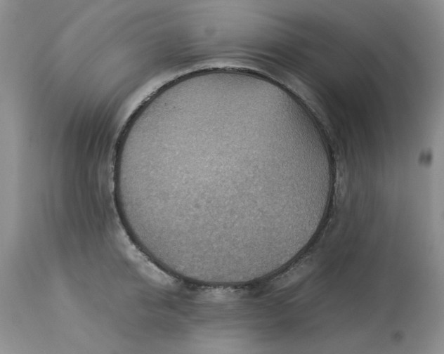 X0000113590950200910021714