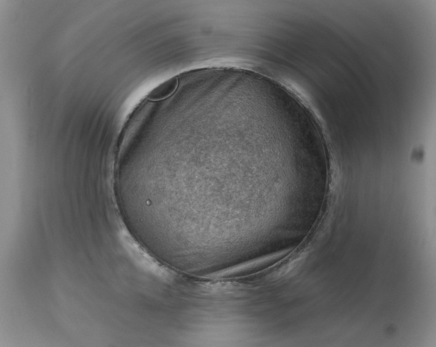 X0000113590952200910021714