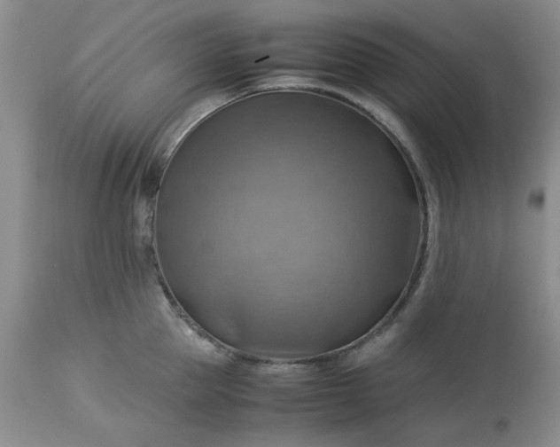 X0000113590953200910021714