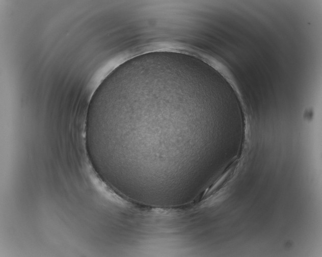 X0000113590954200910021714