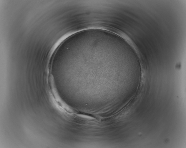 X0000113590955200910021714