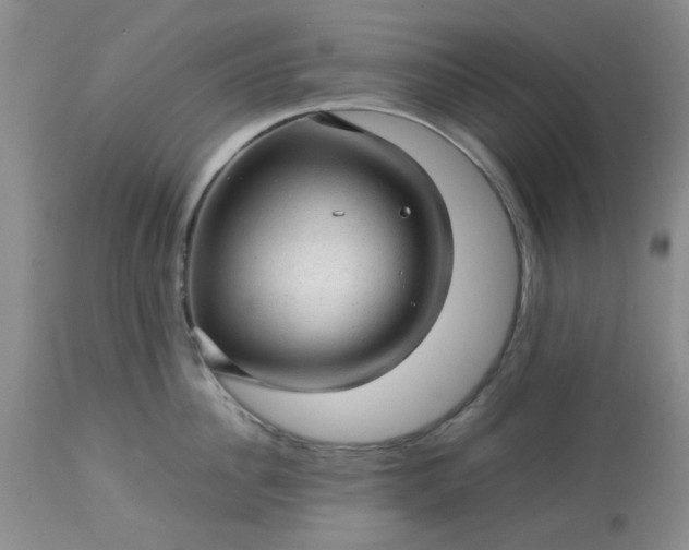 X0000113590956200910021714