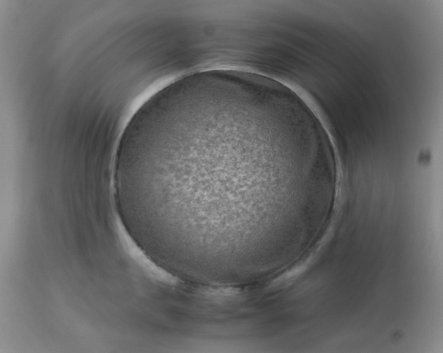 X0000113590957200910021714