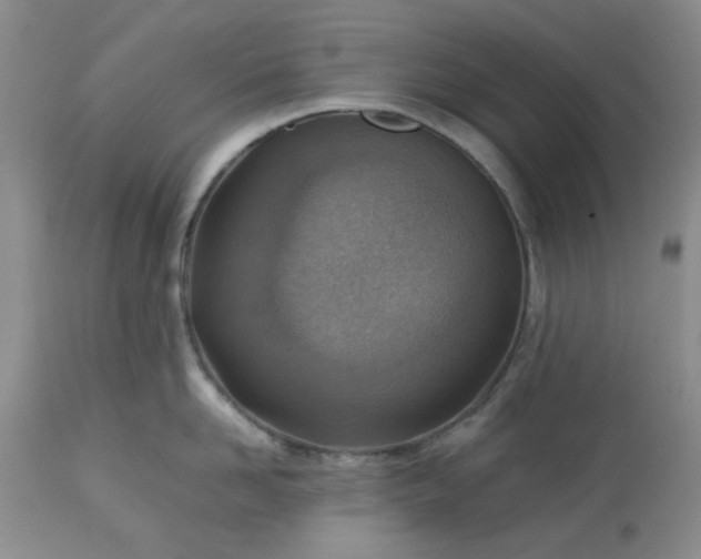 X0000113590958200910021714