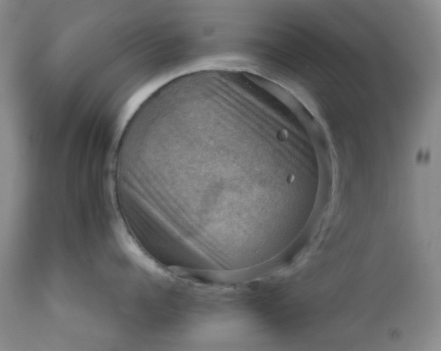 X0000113590960200910021714