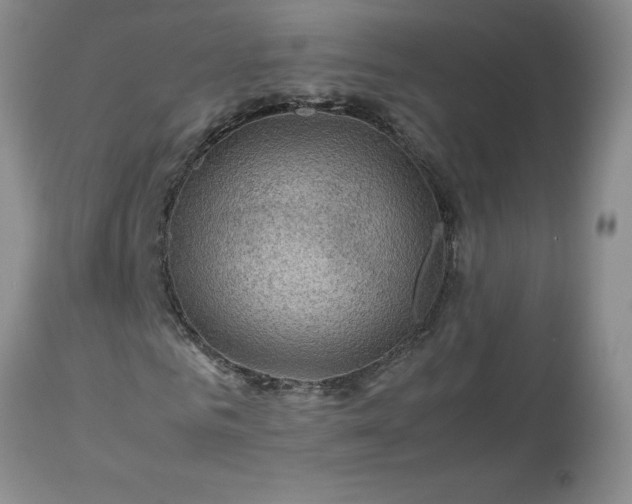 X0000113590961200910021713