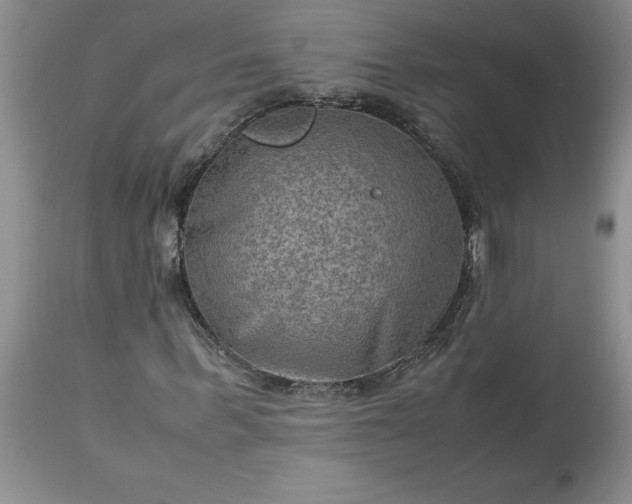 X0000113590963200910021713