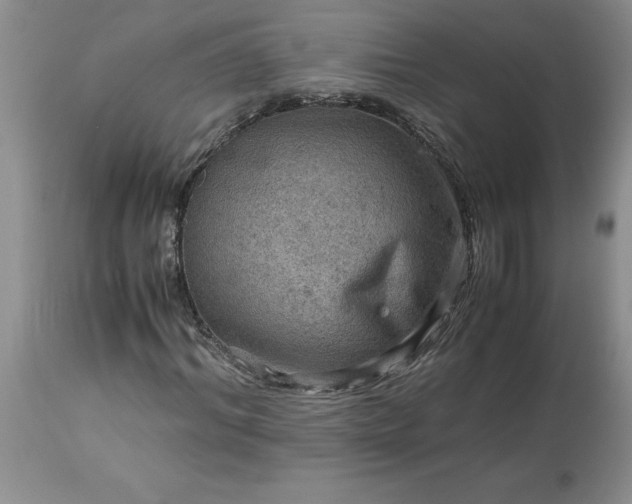 X0000113590964200910021713