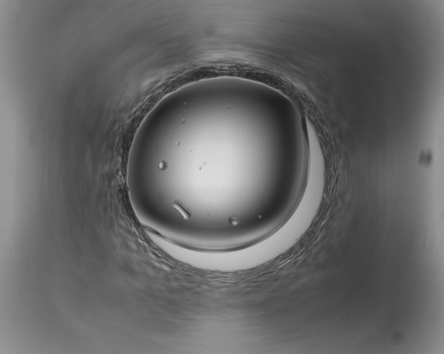 X0000113590965200910021713