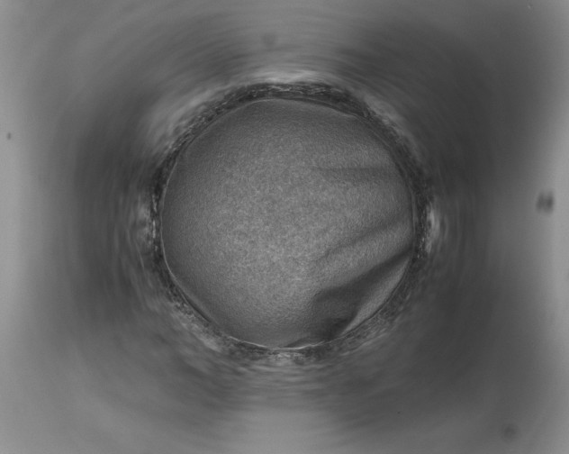 X0000113590966200910021713