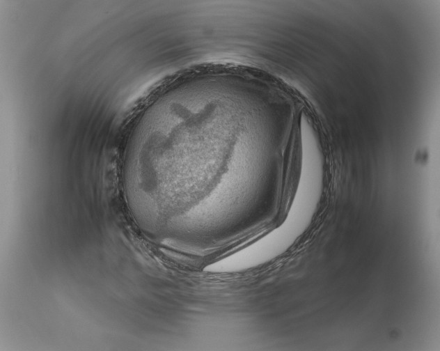 X0000113590968200910021713