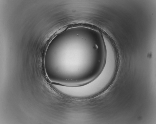 X0000113590969200910021713