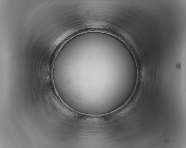 X0000113590970200910021713